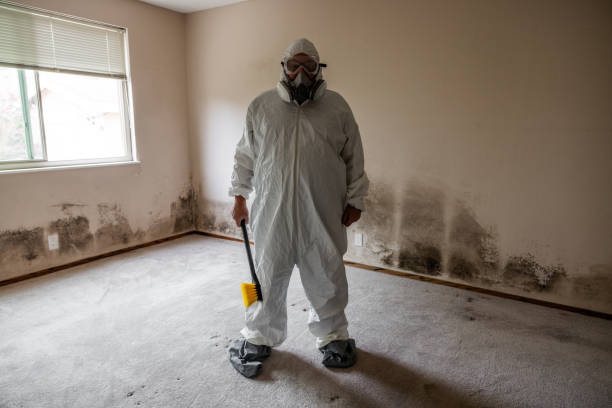 Best Black Mold Removal  in Orida Gulf Coast University, FL